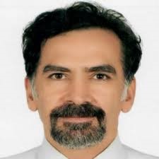 Professor Halit Apaydin